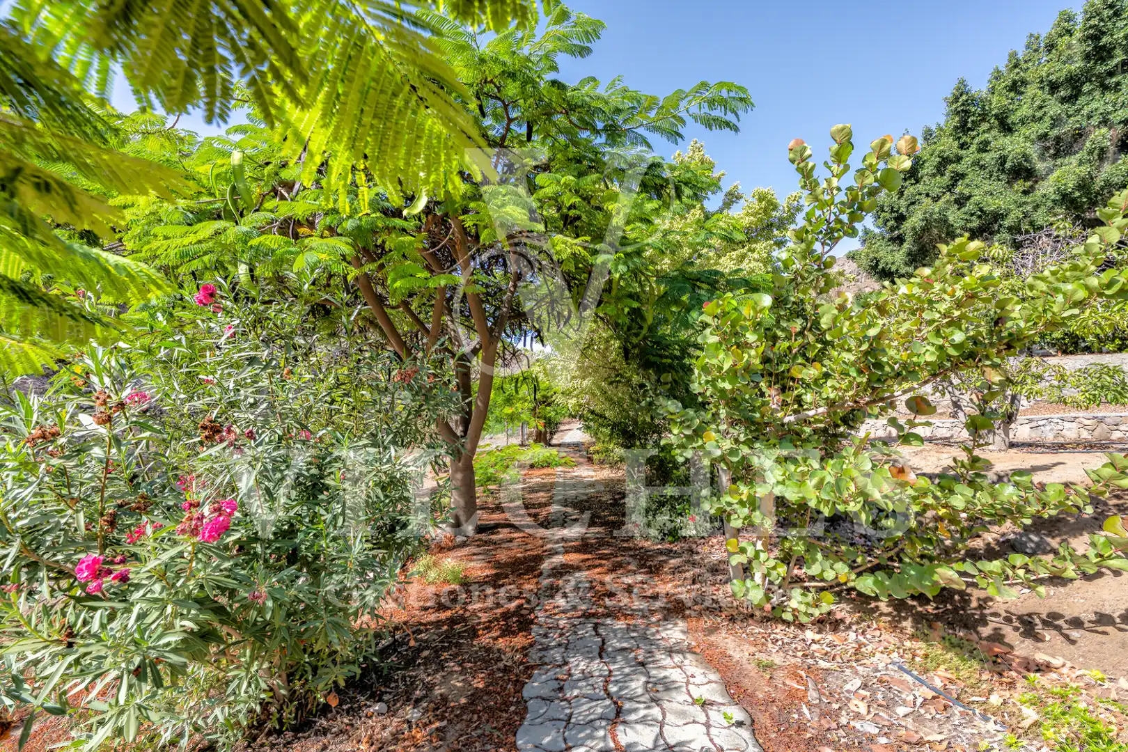 Garten von Grundstücke zum Verkauf in Mogán