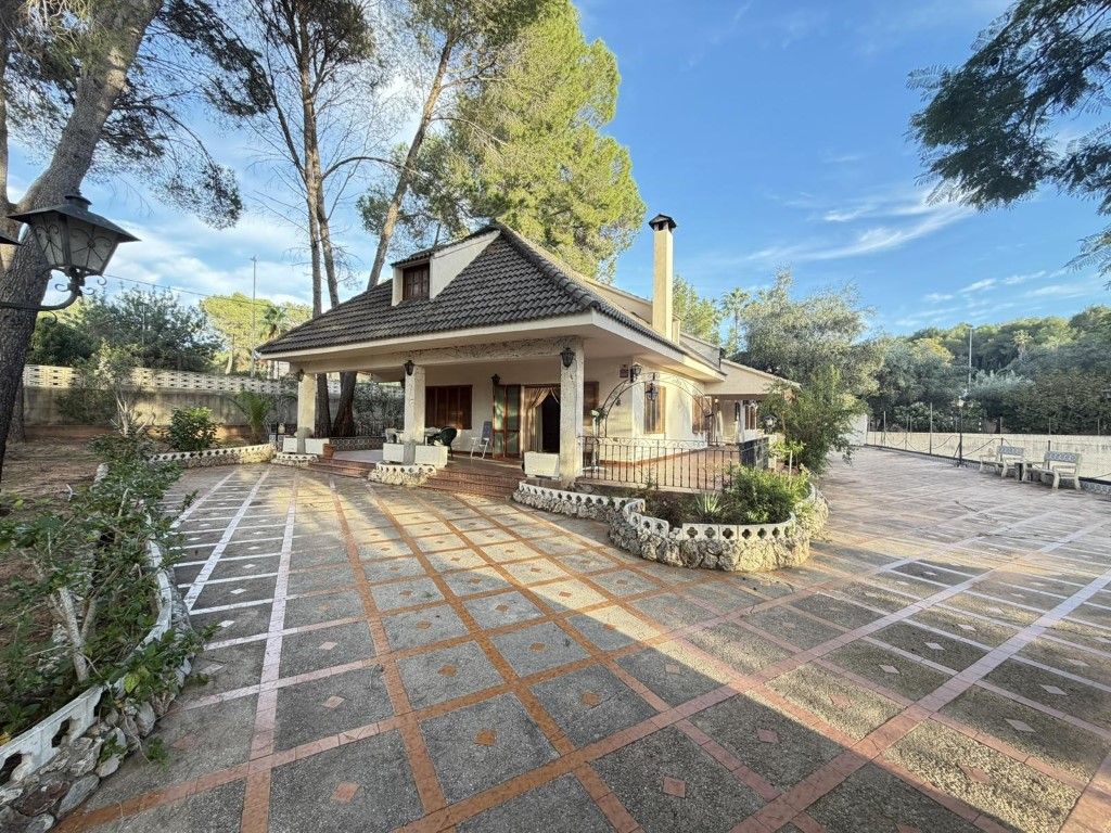 Exterior view of House or chalet for sale in Alzira