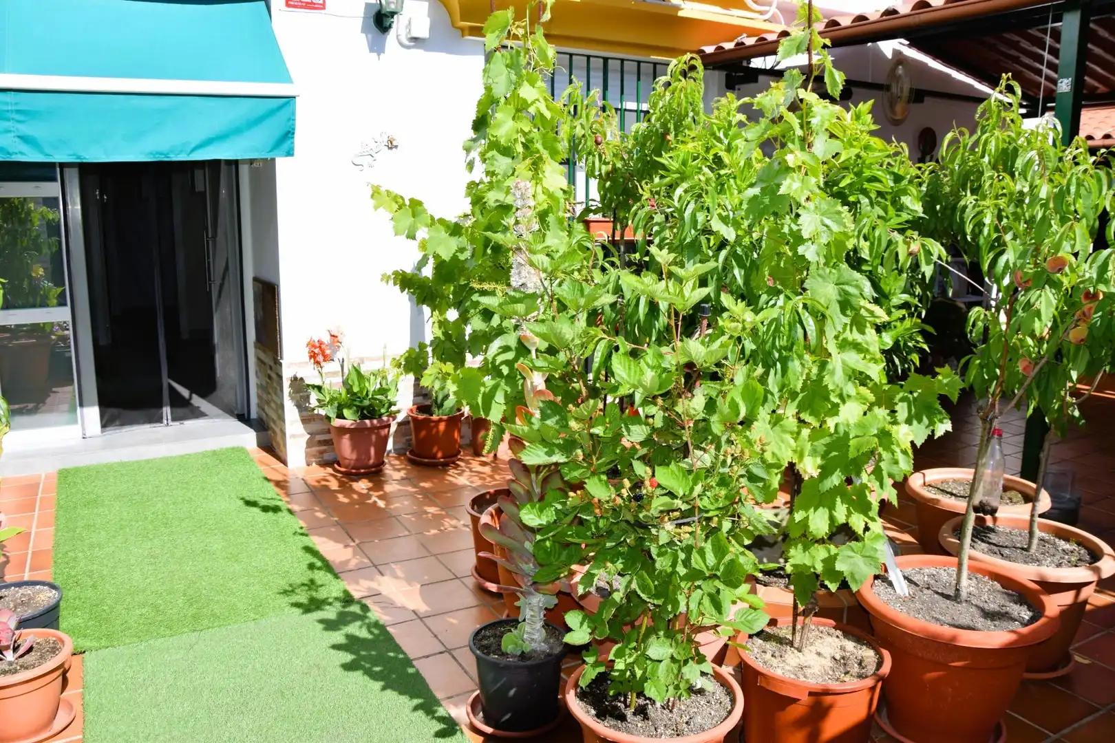 Terrace of Houses for sale in El Portil  with Air Conditioner, Heating and Terrace