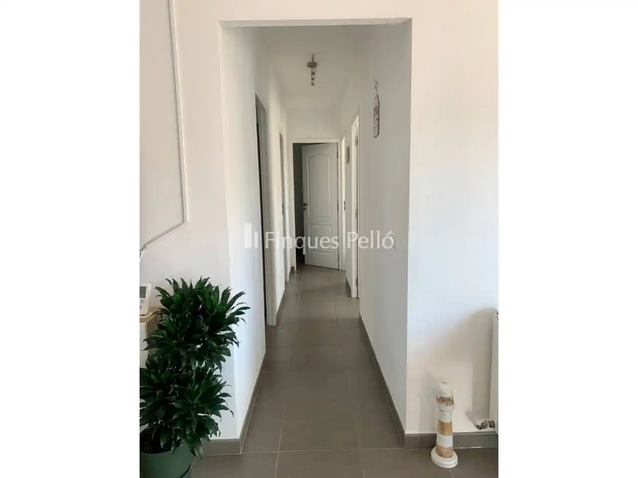 Appartamento con terrazza in vendita a Plaza Pecher, imagen 12