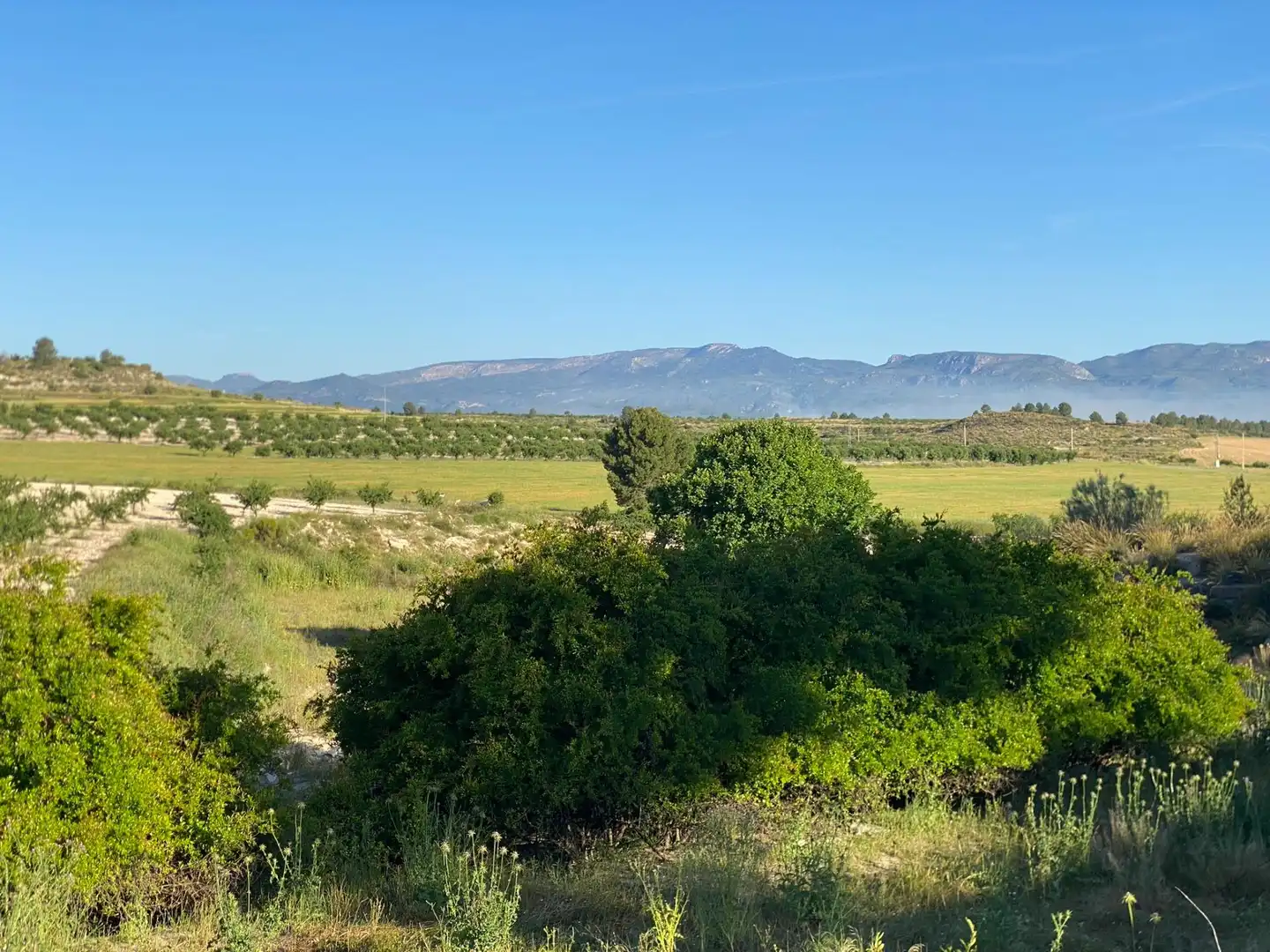 Villa à vendre à Moratalla, imagen 11