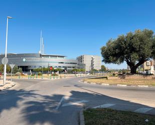 Pis de lloguer a Zona Concordia