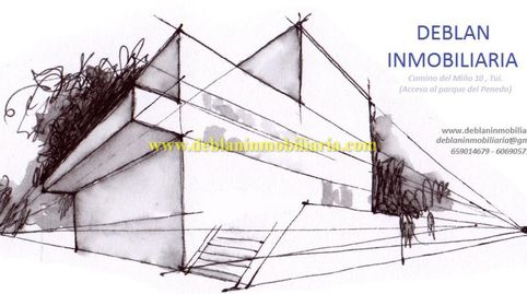 Immagine 4 dell'annuncio