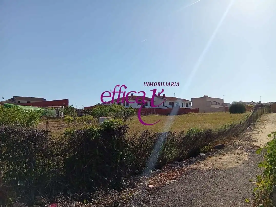 Rural land for sale in La Puebla de Montalbán, imagen 5