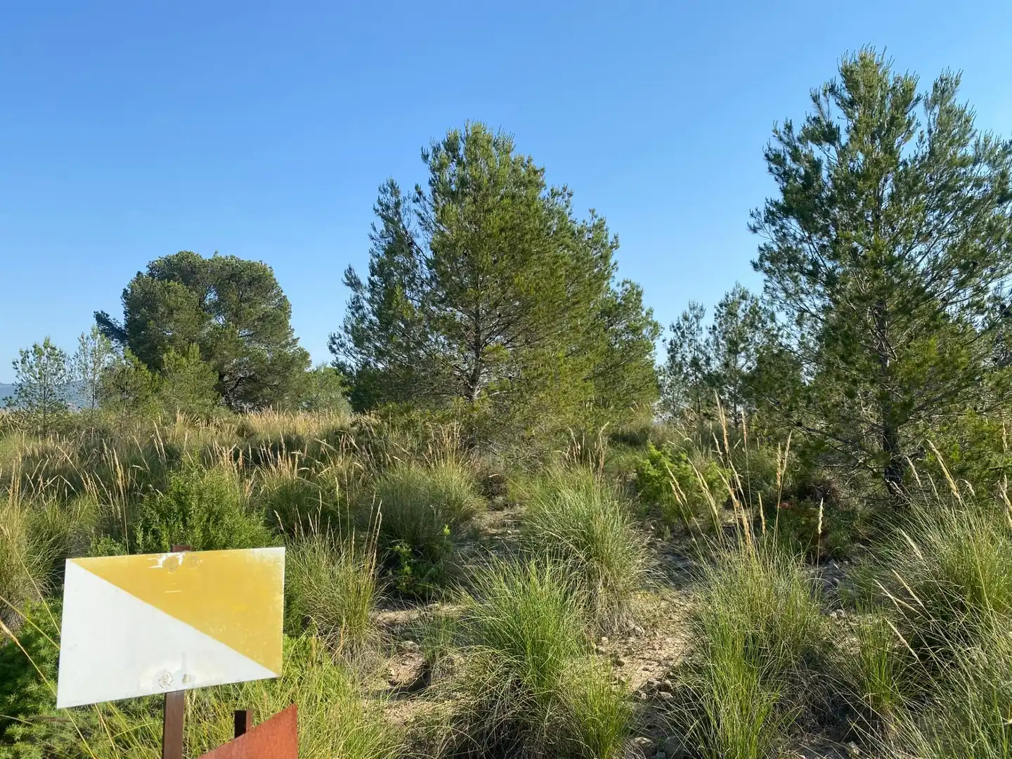 Villa à vendre à Moratalla, imagen 7
