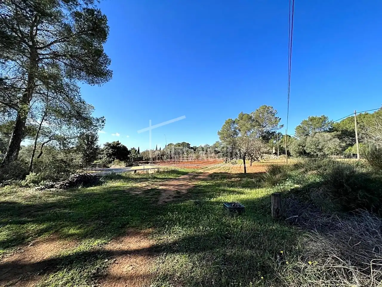 Terreno rustico in vendita a Algaida, imagen 6