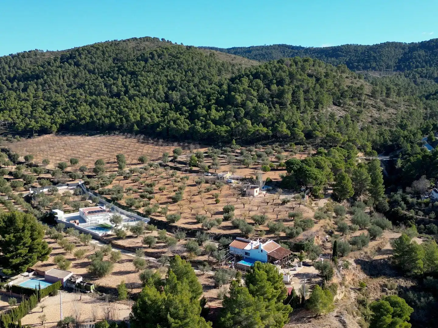 Terrenys i solars en venda a Ibi
