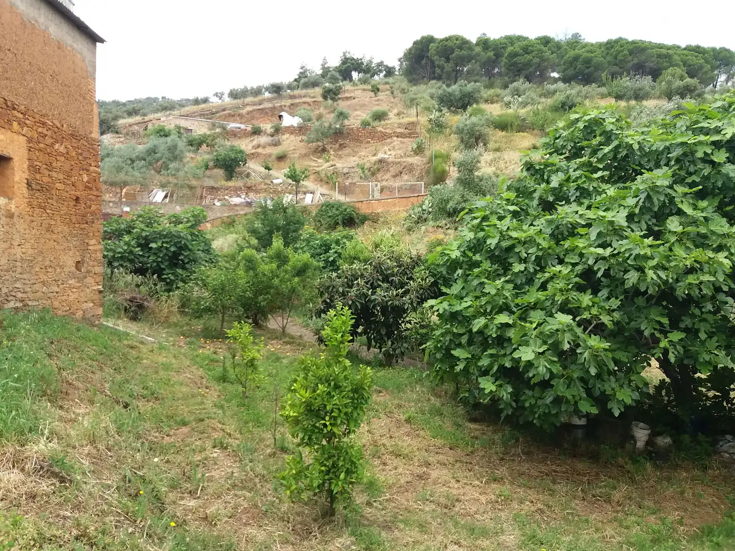 Terreni e lotti in vendita a Calle Luis Chamizo 5, imagen 5