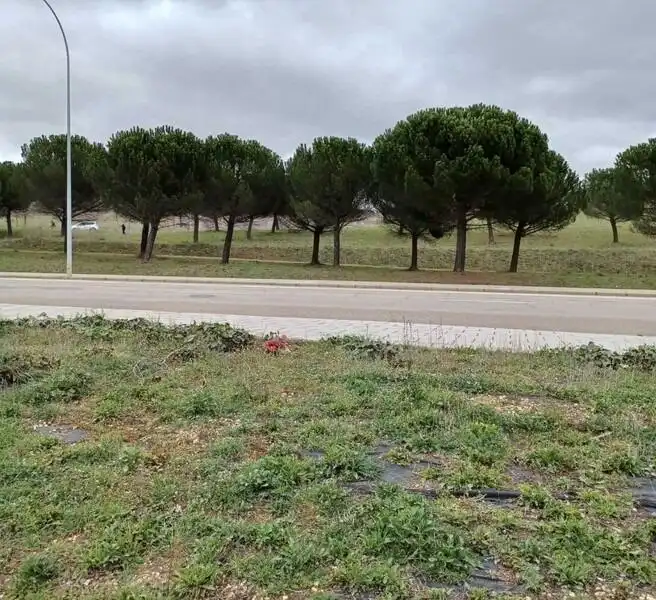 Terreni e lotti in vendita a Carretera de Carbajal