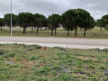 Terreni e lotti in vendita a Carretera de Carbajal
