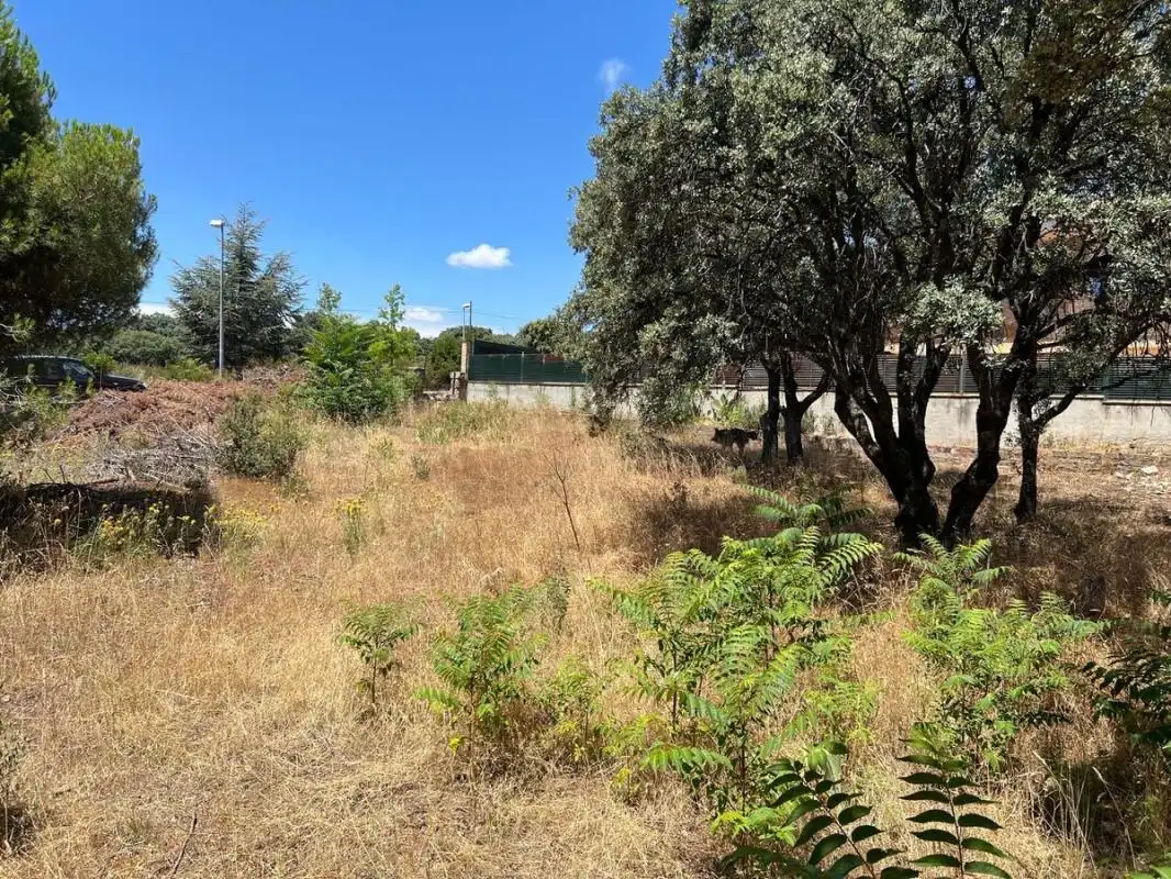Terreny residencial en venda a Las Zorreras - Monte Encinar, imagen 7