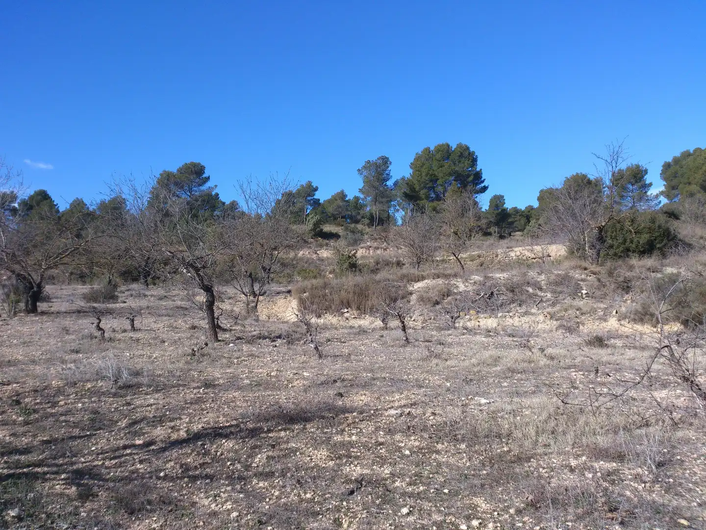 Country homes for sale in La Font de la Figuera