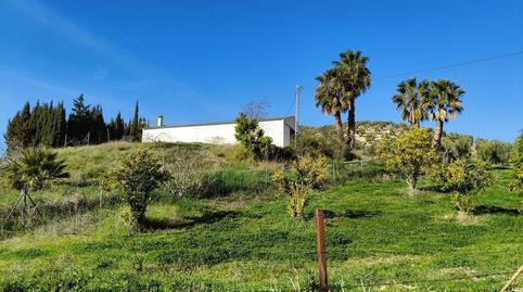 Photo 4 of Country house for sale in N/a, Partidas Norte, Málaga