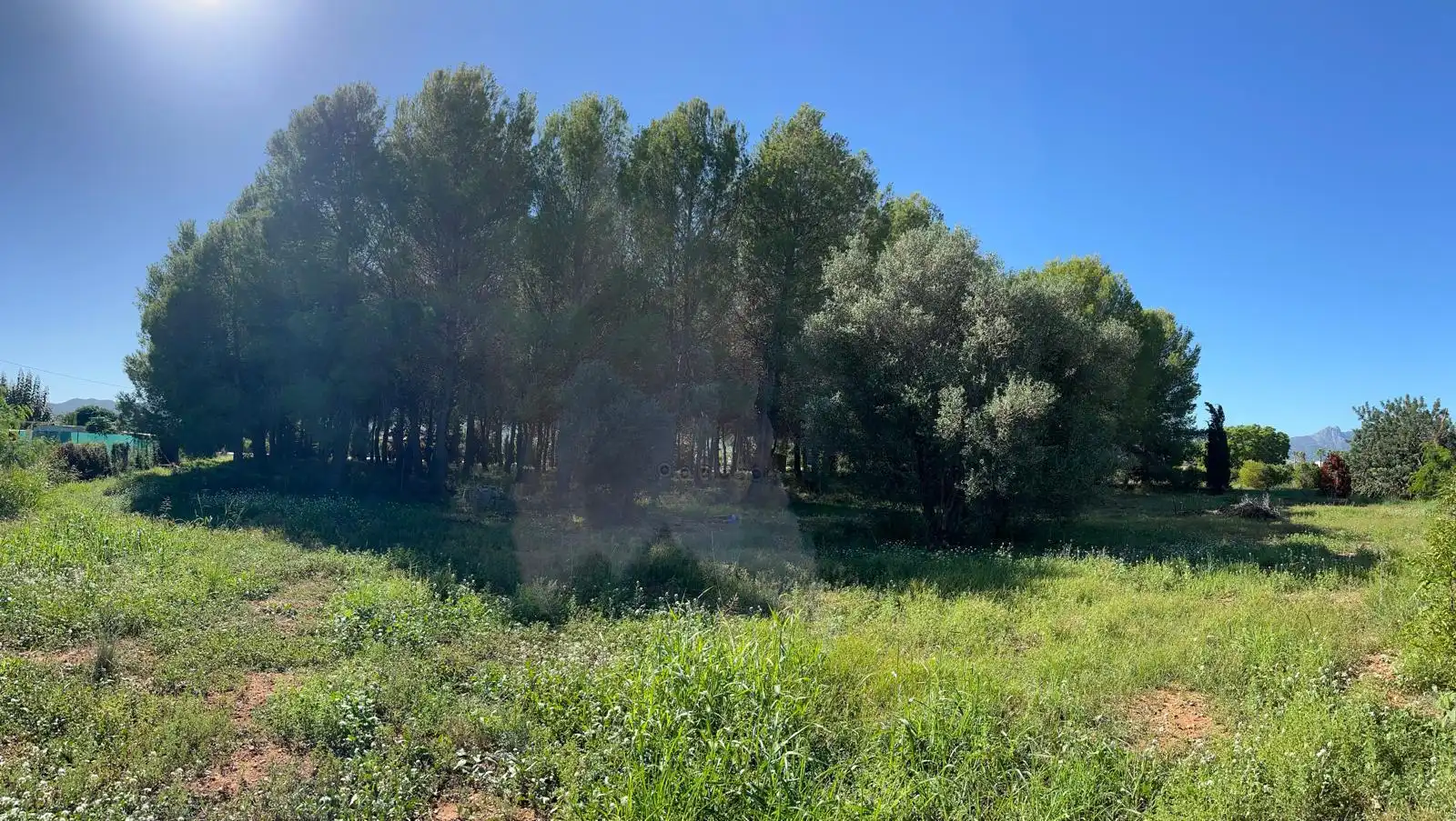 Terreny rústic en venda a Beniarbeig, imagen 3