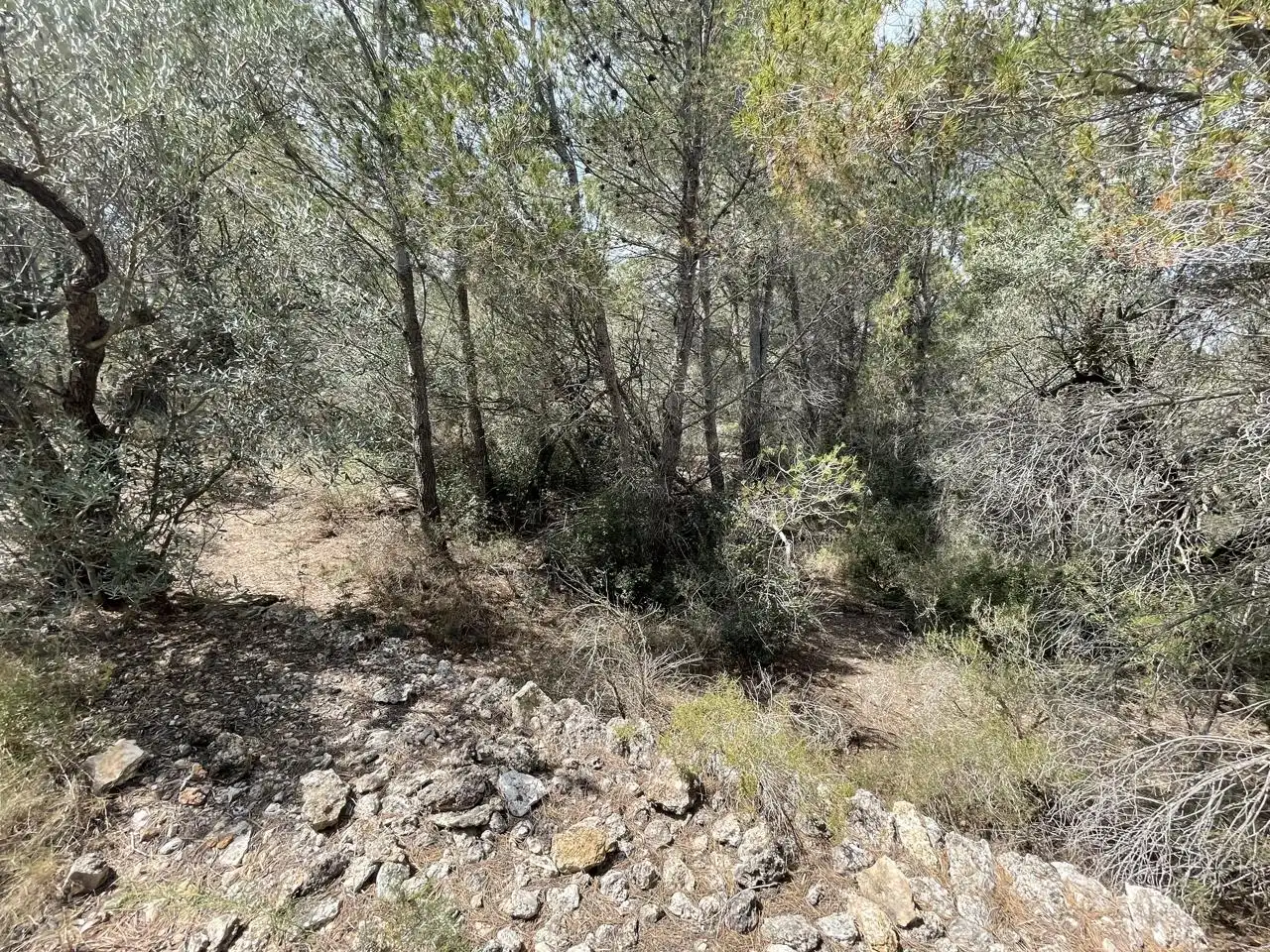 Terreni e lotti in vendita a barrera, imagen 7