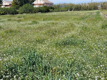 Terreno residenziale in vendita a Pedanías Este