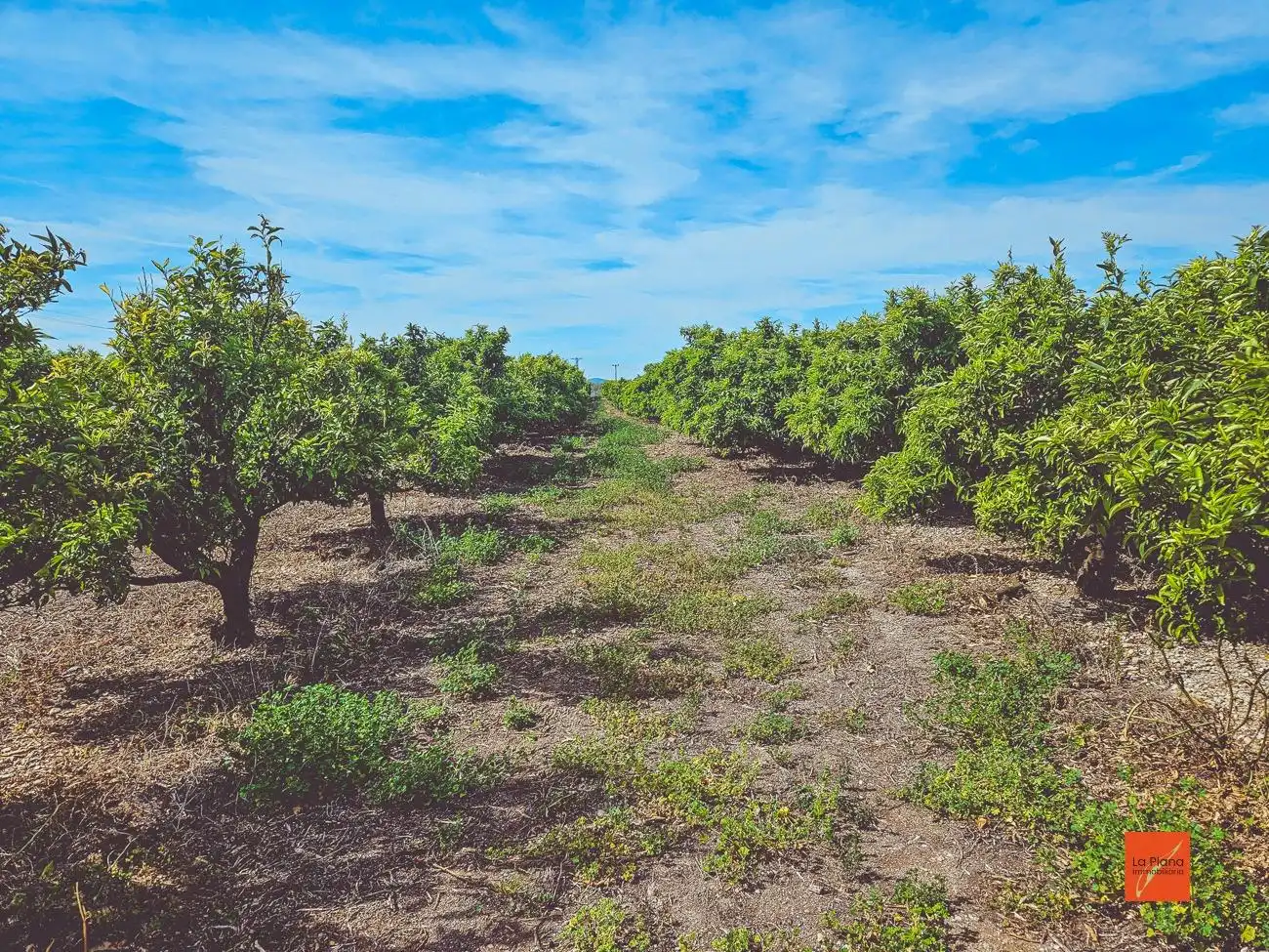 Terreno rustico in vendita a Santa Bàrbara, imagen 9