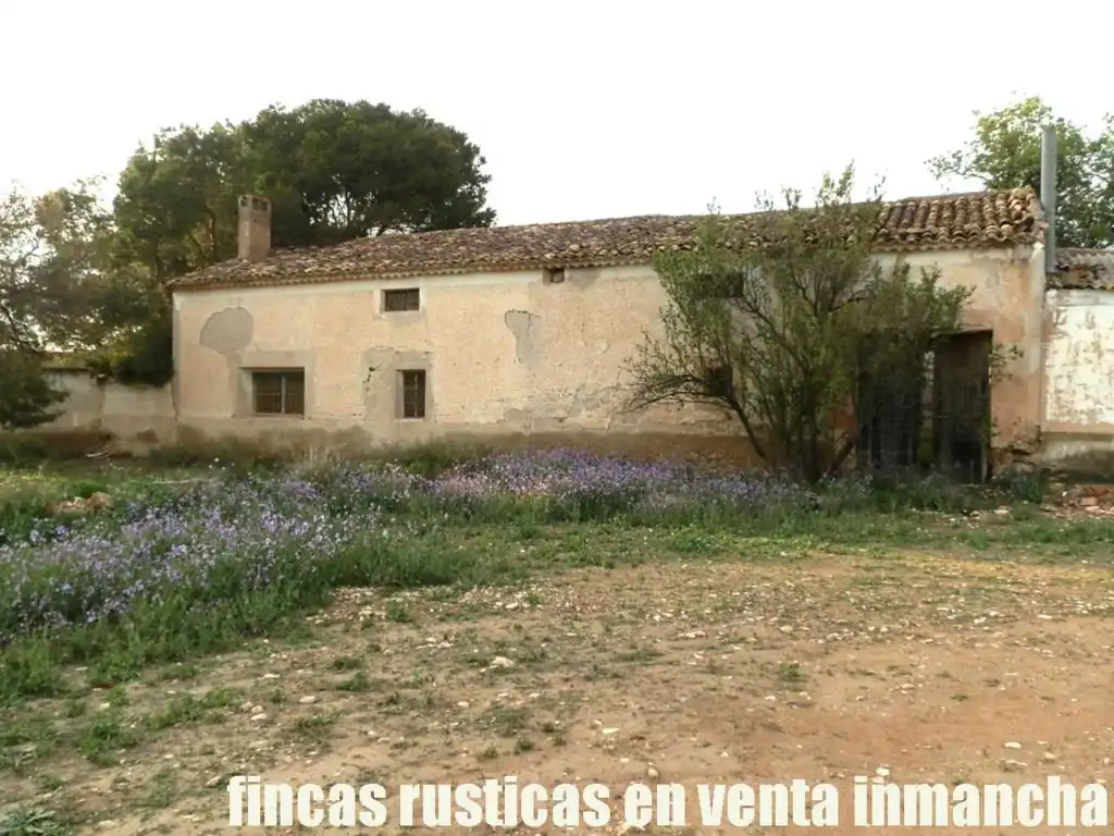Terreni e lotti in vendita a Tobarra, imagen 8