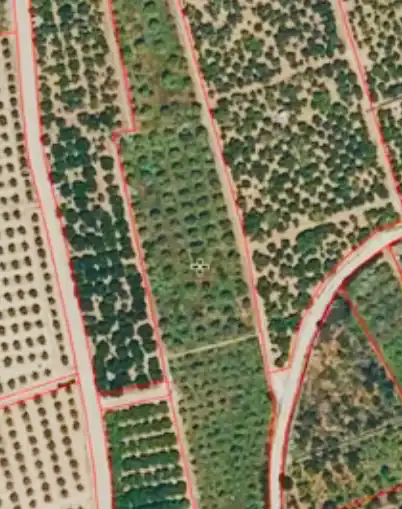 Terreny rústic en venda a Oliva pueblo