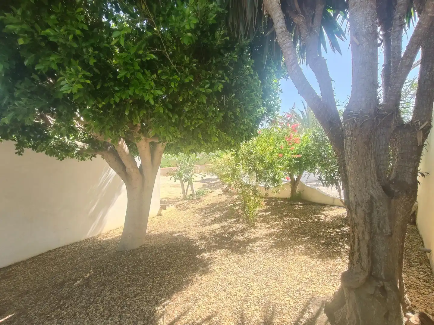 Jardí de Casa o xalet en venda en Antas amb Aire condicionat i Piscina