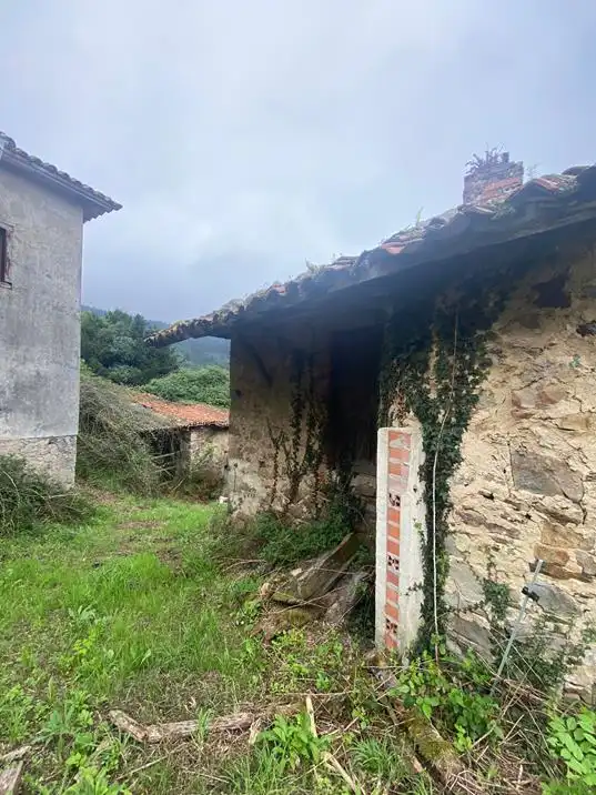 Vista exterior de Finca rústica en venta en Salas