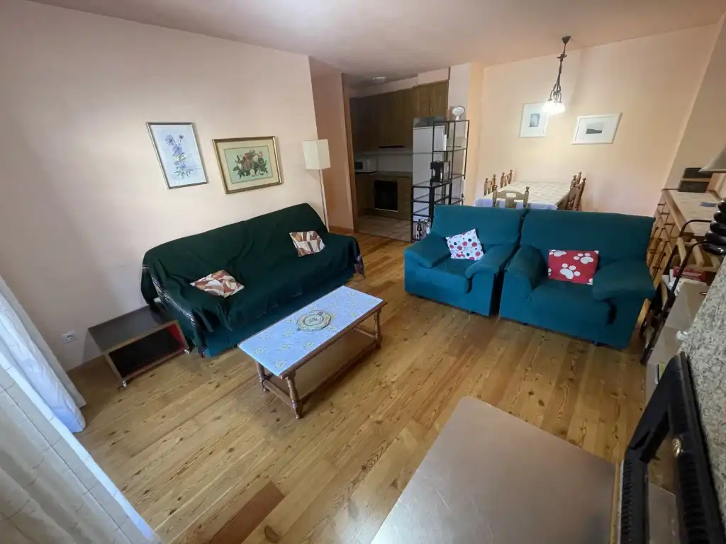 Living room of Flat for rent in Llavorsí  with Oven, Washing machine and Balcony