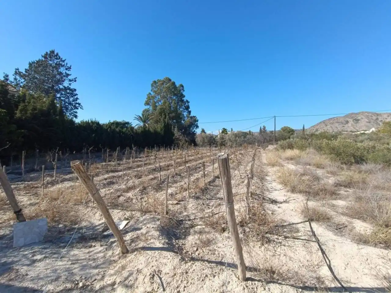 Casa o chalet en venta en Petrer con Terraza