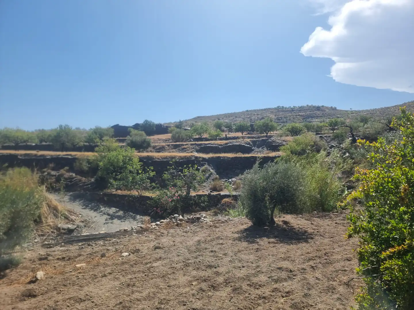 Terreno en venta en Senés