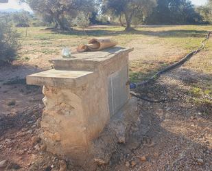 Jardí de Terreny en venda en Tivenys