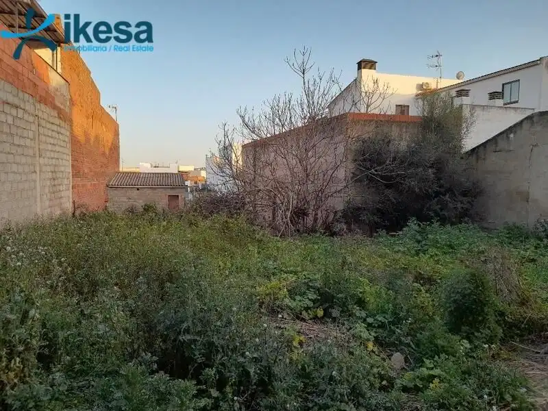 Terreni e lotti in vendita a Azuaga, imagen 2