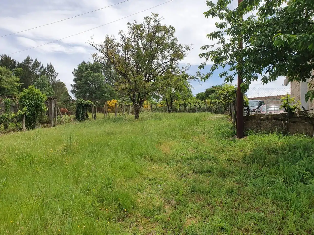 Casa en venta en O Pereiro de Aguiar, imagen 5