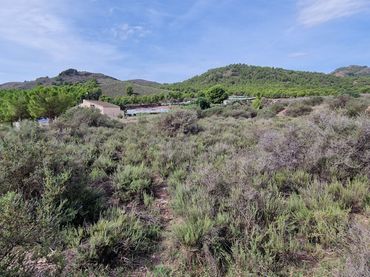 Terreno residenziale in vendita a Totana