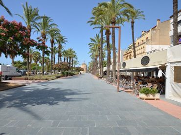 Local comercial de lloguer a Paseo del Carme 18
