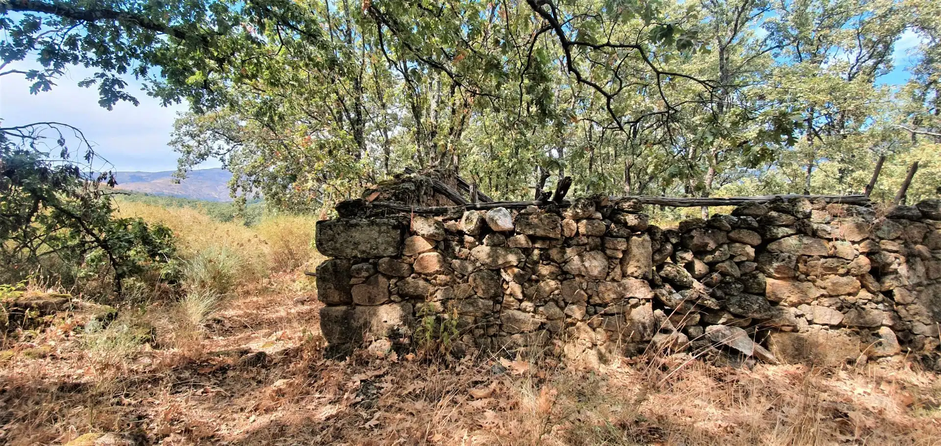 Terreni e lotti in vendita a Jarandilla de la Vera, imagen 4