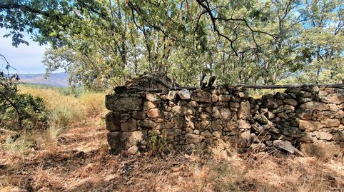 Foto 4 de Terreno en venta en Jarandilla de la Vera, Cáceres
