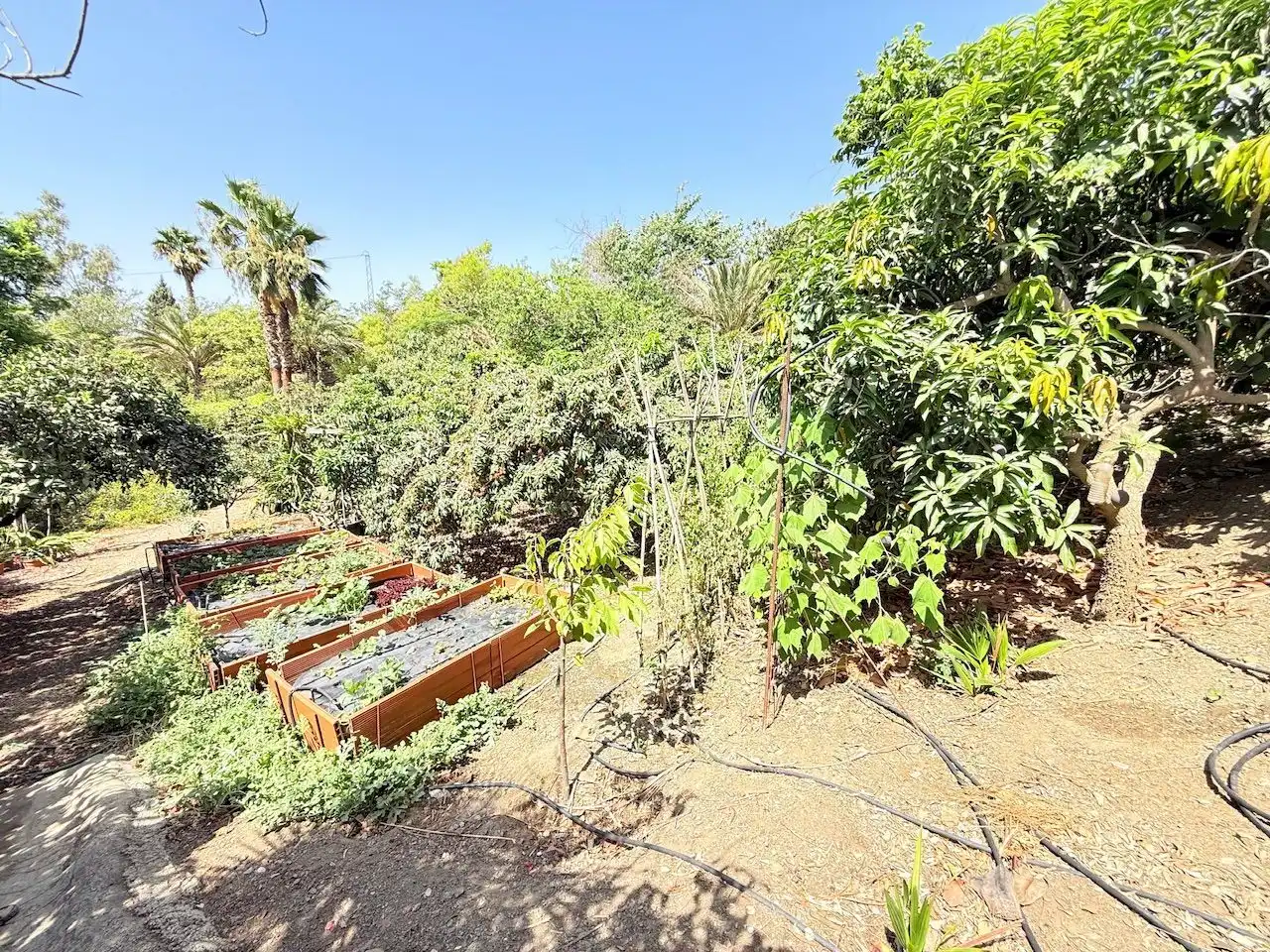Jardín de Casa o chalet en venta en Vélez-Málaga con Aire acondicionado, Calefacción y Jardín privado
