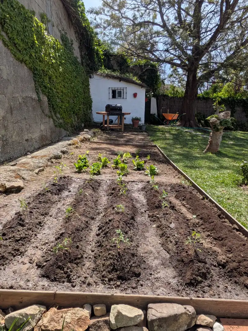 Jardí de Casa o xalet en venda en Algeciras amb Jardí privat