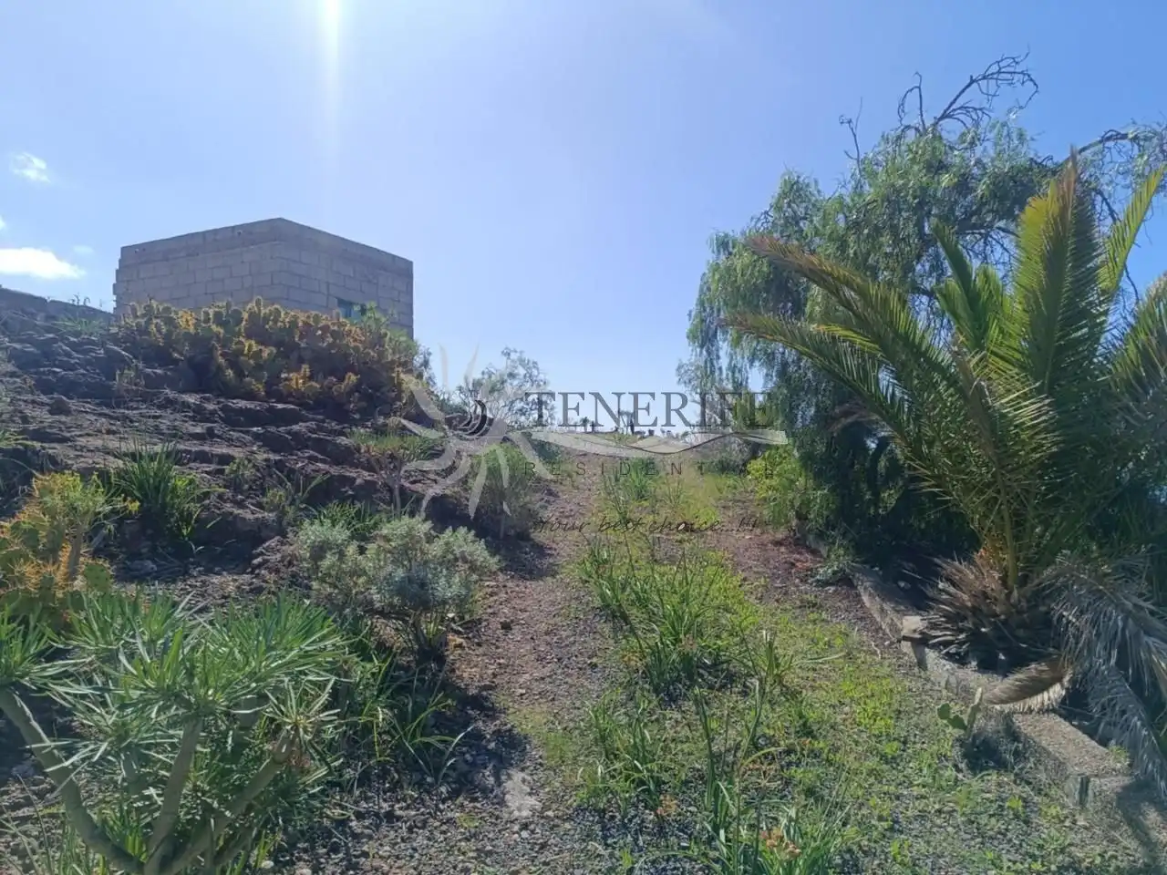 Terreny rústic en venda a General Piedra Hincada A Tejina 89, imagen 4
