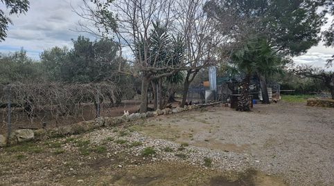 Foto 3 de Finca rústica en venta en Valletes - Xiribecs, Amposta
