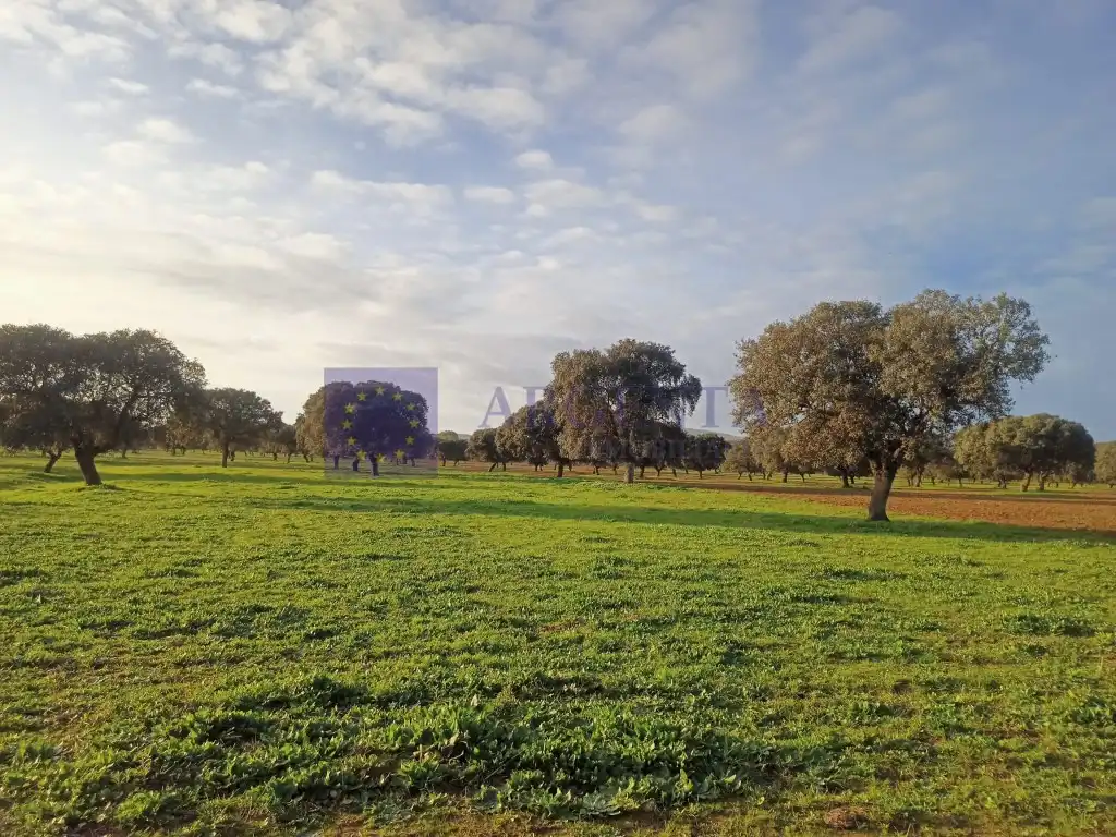 Casa o xalet en venda a Oeste