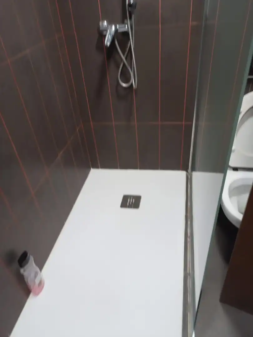 Bany de Pis de lloguer en Elche / Elx amb Aire condicionat, Parquet i Moblat
