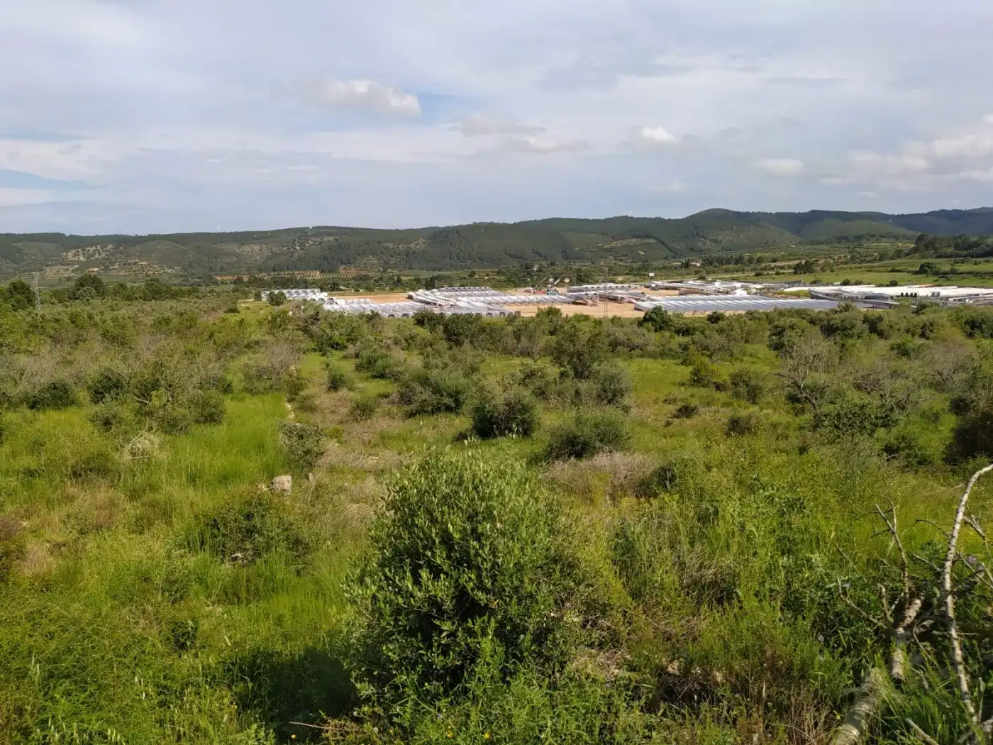 Terreno industrial en venta en Les Coves de Vinromà