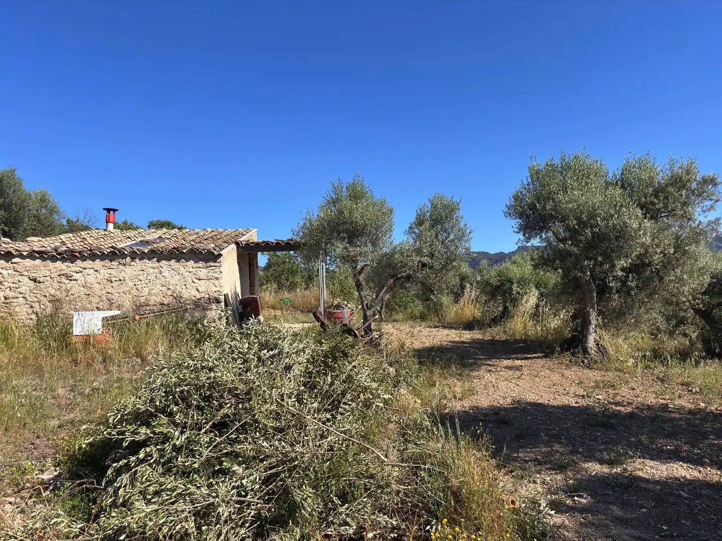 Rural land for sale in Tivissa, imagen 11