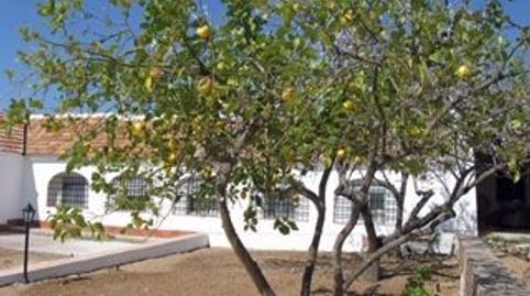 Foto 3 de Casa o chalet en venta en Almodóvar del Río, Córdoba