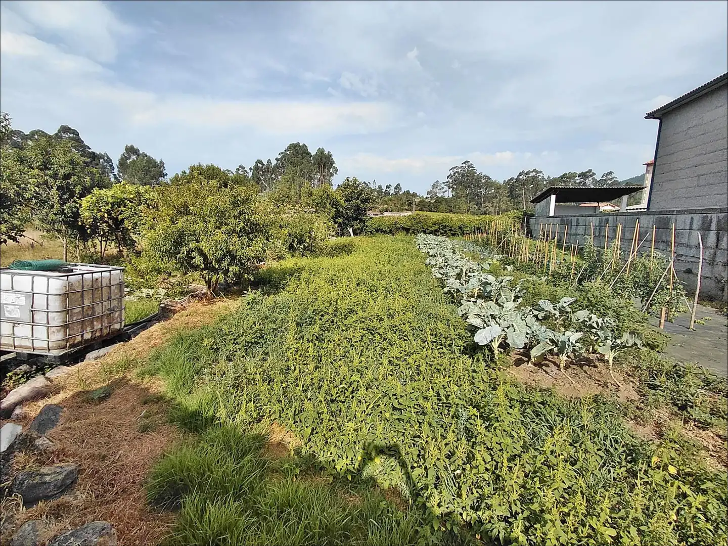 Lands and plots for sale in Cea, imagen 38