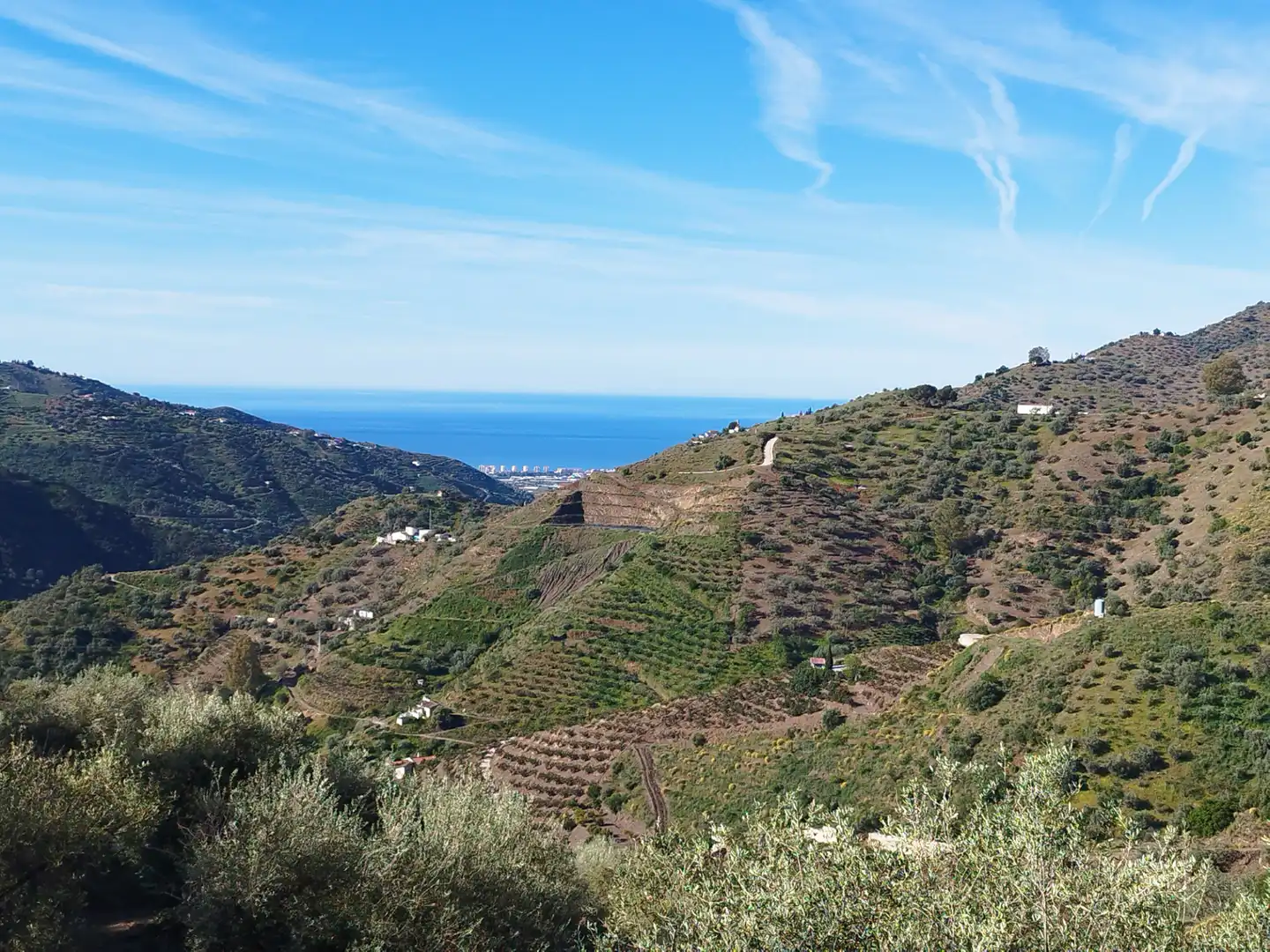 Lands and plots for sale in Arenas, imagen 3