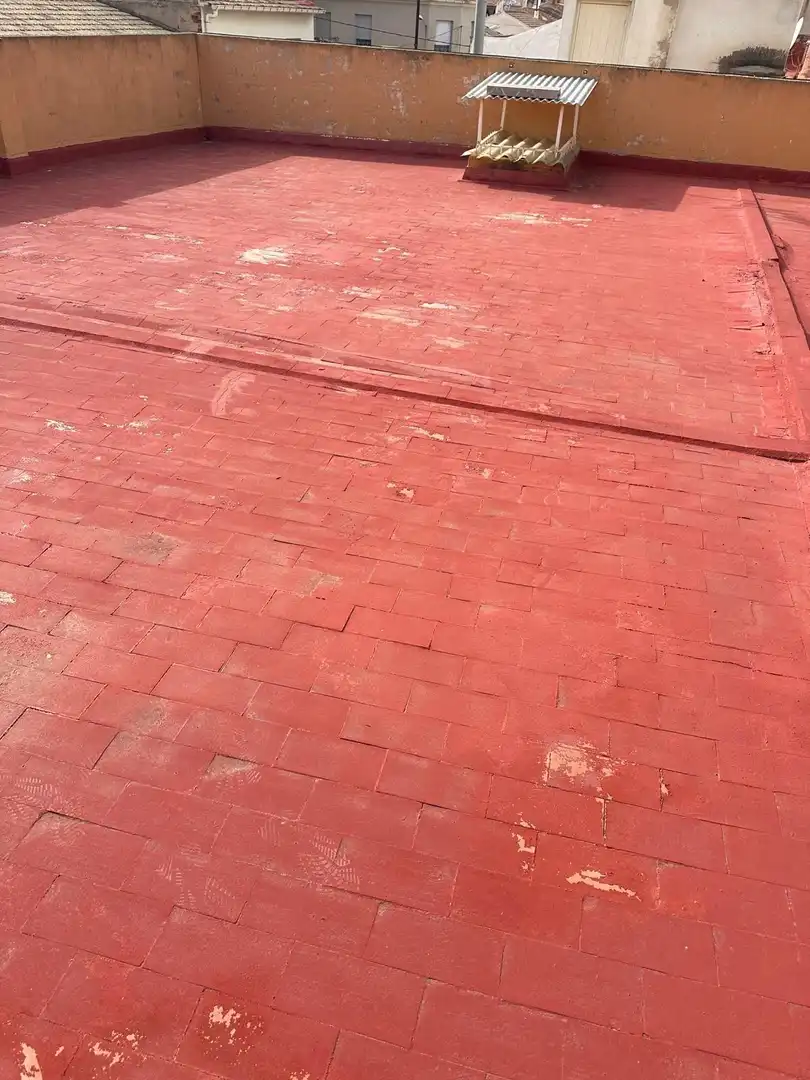 Vista exterior de Casa o xalet en venda en Novelda amb Calefacció, Jardí privat i Terrassa