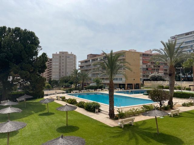 Swimming pool of Flat to rent in Alicante / Alacant  with Air Conditioner, Heating and Community pool