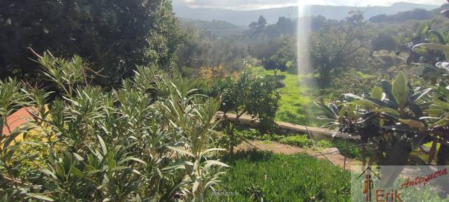 Finca rústica en Venta en Bobadilla - Bobadilla Estación - La Joya