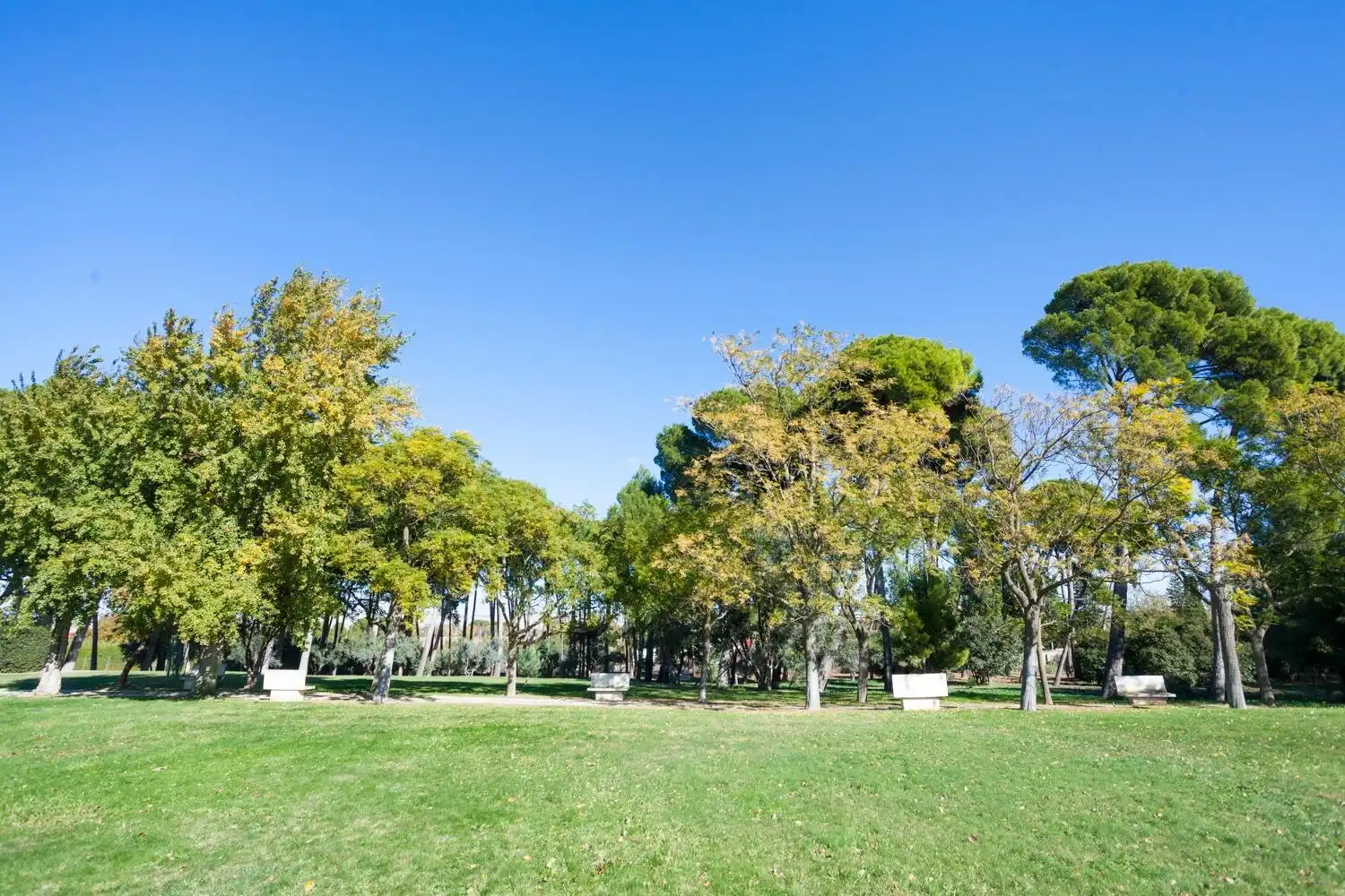 Exterior view of Houses for sale in Zaragoza  with Air Conditioner, Heating and Private garden